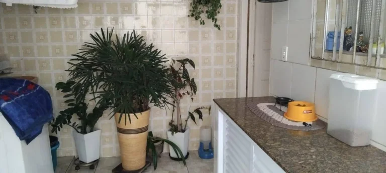 Imagem Casa Térrea com 3 dormitórios à venda na Vila Mafra