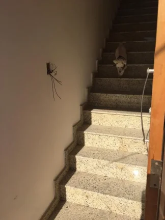 Imagem Apartamento para Venda em Praia Grande, Vila Mirim, 2 dormitórios, 2 suítes, 1 banheiro, 1 vaga