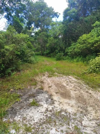 Imagem Terreno para Venda em Itanhaém, Gaivota (Interior)