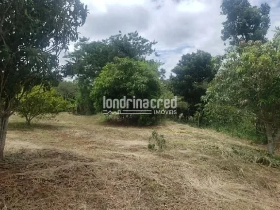 Imagem Excelente Sítio em Ibiporã-PR: 2 Casas de Alvenaria, 24.200m², Área Verde, Próximo ao Rio Tibagi e a 5km da Via Urbana