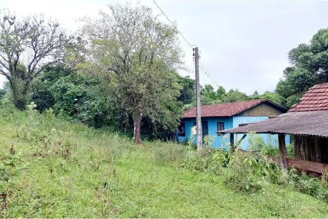 Imagem CLBG 120 Lote 612511062-6 - Fazenda à venda no bairro Riozinho - Riozinho/RS