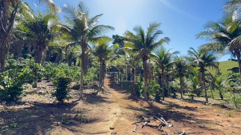 Imagem Sítio com Casa à venda, 100.614,00 m², Timbuí - Fundão/ES