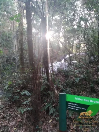 Imagem Imperdivél, excelente terreno à venda em Santo Antônio do Pinhal/SP