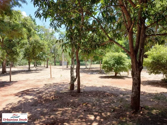 Imagem Chácara Santa Maria no Asfalto com 21.000 m2 em Campo Grande MS | Próximo ao Aeroporto Santa Maria com Casa Sede e Casa de Caseiro