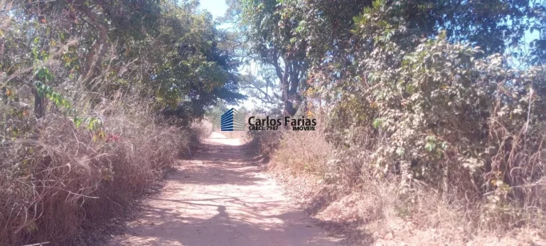 Imagem Chácara para Venda em Brasília, Setor Habitacional Jardim Botânico