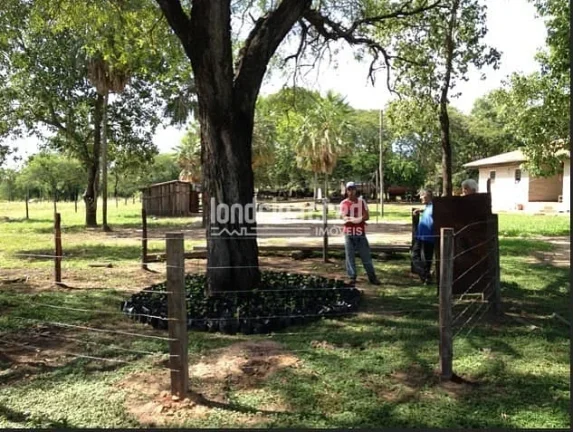 Imagem Fazenda à Venda no Paraguai por 900 dólares por hectare com Alto Potencial Pecuário
