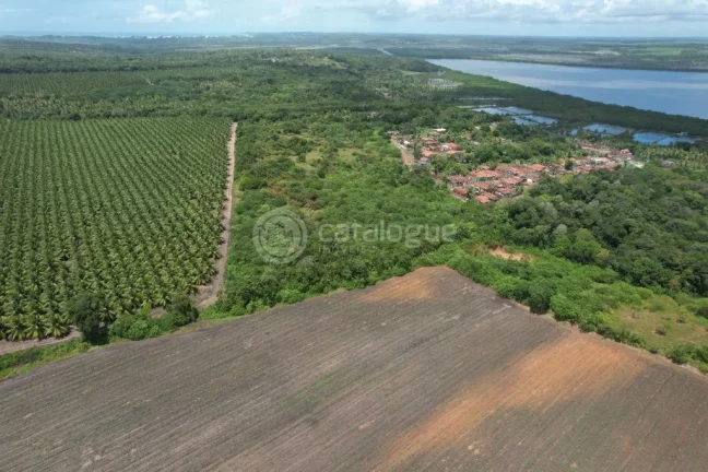 Imagem Área à Venda – Nísia Floresta / RN - 12,1 Ha