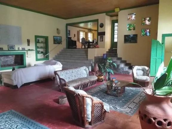 Imagem Fazenda à Venda, 8.000 m² em Centro - Trajano De Morais