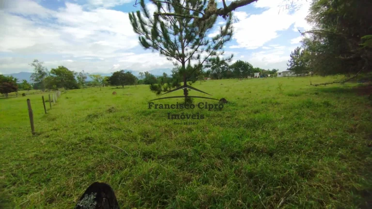 Imagem Sítio à venda no bairro Quiririm - Taubaté/SP