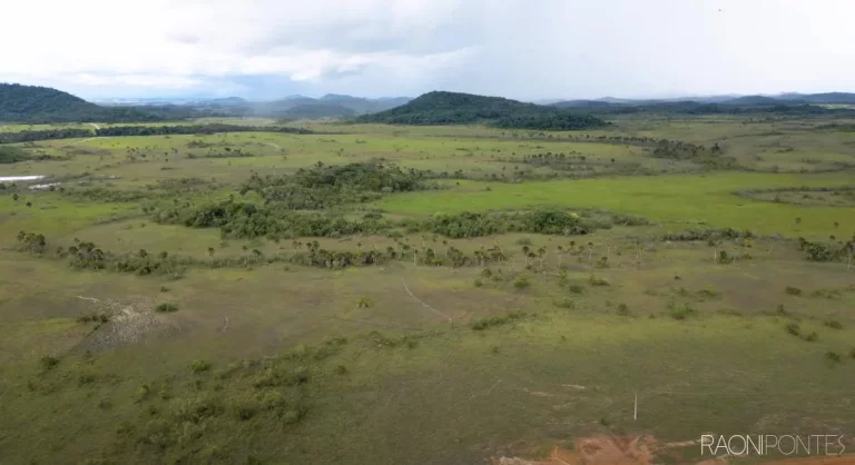 Imagem Fazenda à Venda, 5.800 m² em Zona Rural