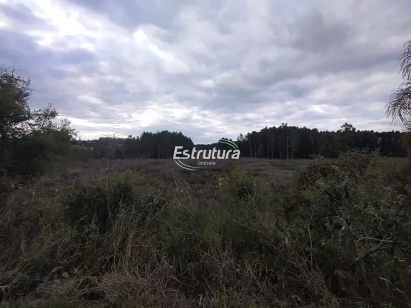 Imagem Excelente terreno para investidores na BR 287