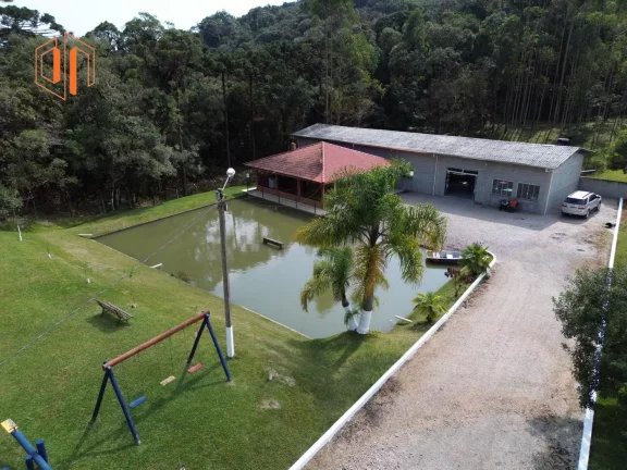 Imagem Chácara para Venda em São José dos Pinhais, Borda do Campo