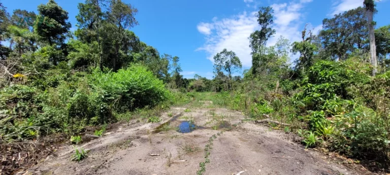 Imagem Terreno com rua aberta, 100% documentado.