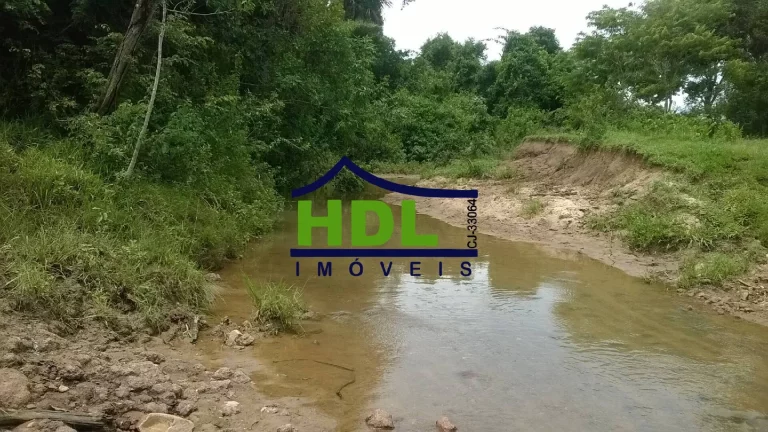 Imagem FAZENDA 38,5 ALQS EM PIRACANJUBA - GO