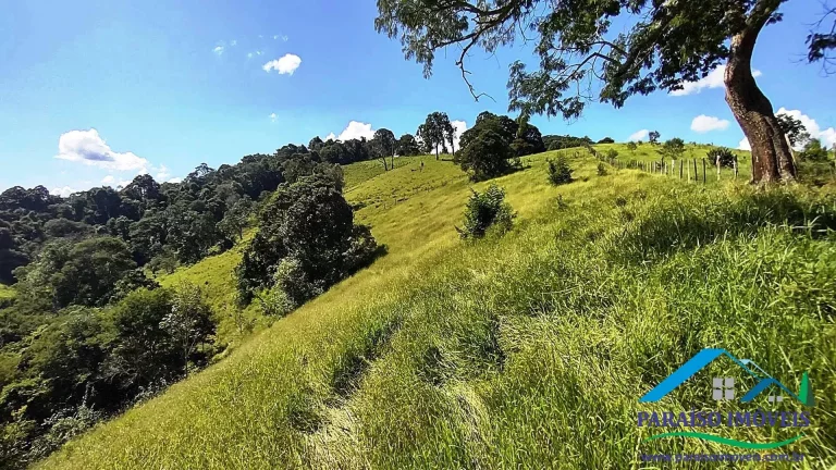 Imagem Paraíso Particular: 14,32 ha, com Vista Panorâmica e Natureza Preservada!