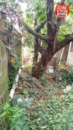 Imagem Terreno à venda, 320 m² por R$ 650.000,00 - Estuário - Santos/SP