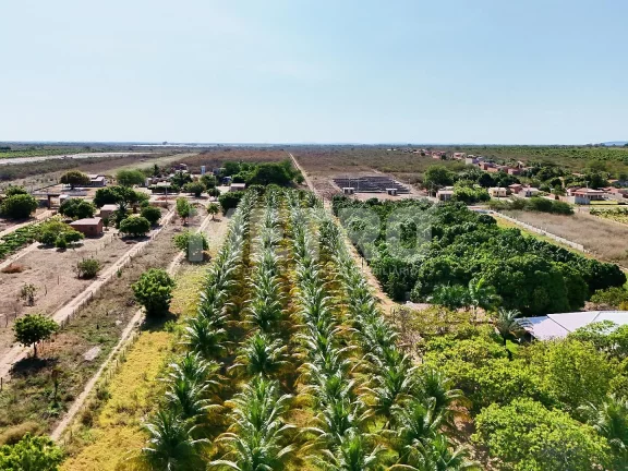 Imagem Área Beia Rio, Estrada das Pedrinhas, 8.4 hectares, PETROLINA - PE