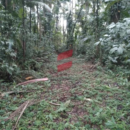 Imagem CHÁCARA com 2 dormitórios à venda com 16000m² por R$ 375.000,00 no bairro Rio do Nunes - ANTONINA / PR
