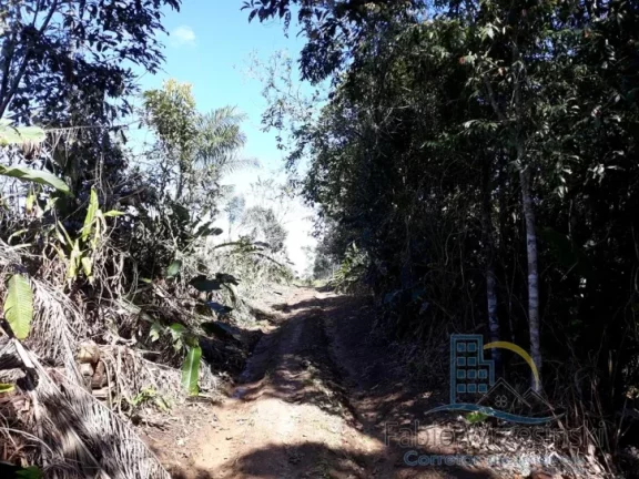 Imagem Terreno - Em rua, para Venda em São Francisco do Sul/SC