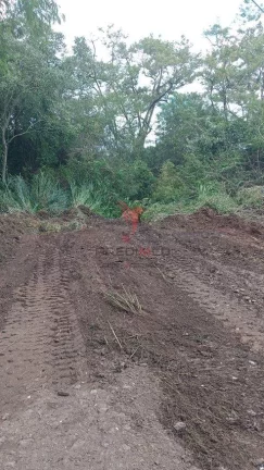 Imagem Vendo Chácara, documentada, Pau D