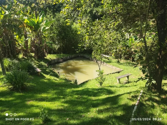 Imagem Sitio barato e com escriturta a venda na cidade de Cunha