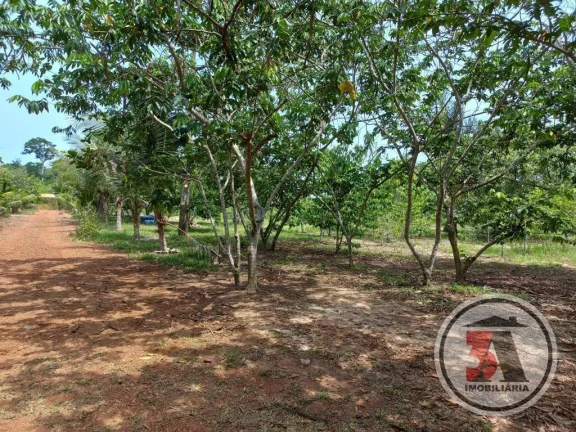 Imagem Chácara 2 hectares 25km de Porto Velho