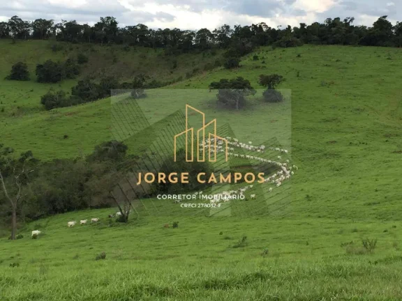Imagem FA-24163 - FAZENDA À VENDA EM MINDURI/MG