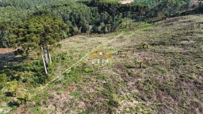 Imagem Chácara - Sítio com 2 Dormitorio(s) localizado(a) no bairro Linha Tapera em Gramado / RIO GRANDE DO SUL Ref.:1516