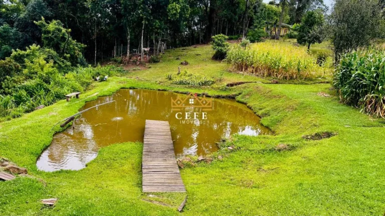 Imagem Chácara - Sítio com 2 Dormitorio(s) localizado(a) no bairro Padre Eterno Ilges em Santa Maria do Herval / RIO GRANDE DO SUL Ref.:1607