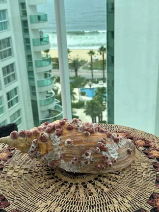 Imagem Apartamento com 4 suítes e 4 vagas de garagem em Itajaí/SC