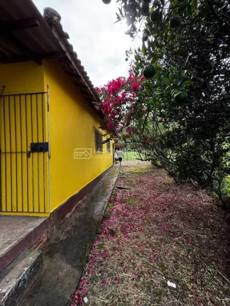 Imagem Fazenda á venda