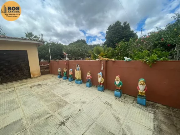 Imagem Terreno Padrão