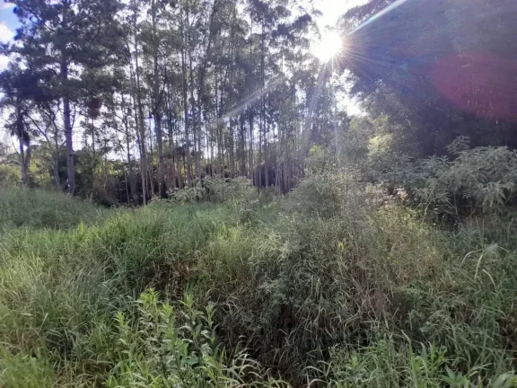 Imagem Lote à venda em Barbacena, Colônia Rodrigo Silva, 2500m2
