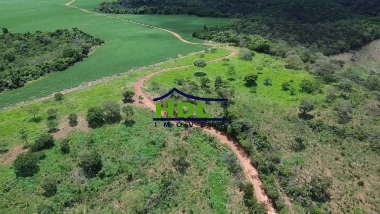 Imagem Fazenda Top para Criação de Gado 100 Kms de Goiânia