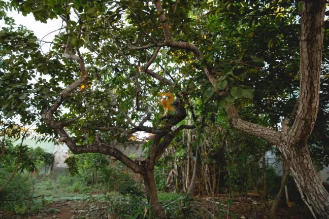 Imagem lote de 935m2, condomínio Majestade Sabiá com portaria 24 horas