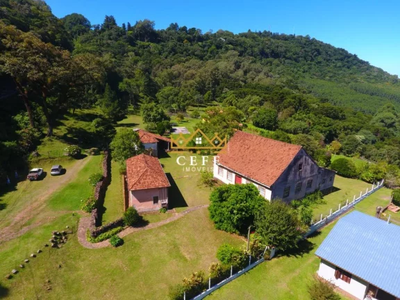Imagem Sala Comercial à Venda, 790 m² em Centro - Morro Reuter