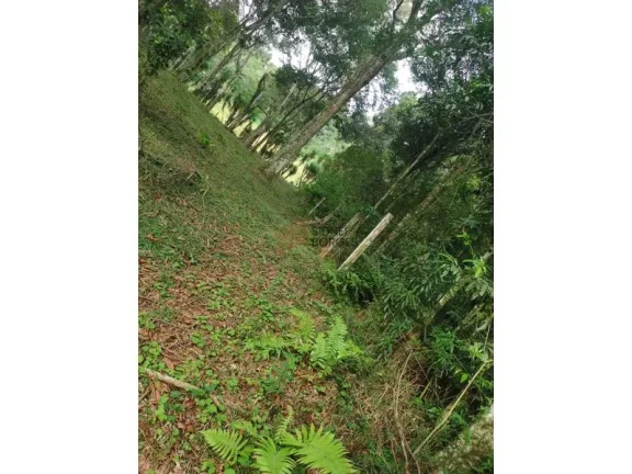 Imagem Sítio GUAÍBA - RS