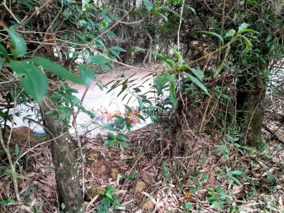 Imagem Terreno à venda, 700 m² por R$ 145.000,00 - Tenentes - Extrema/MG