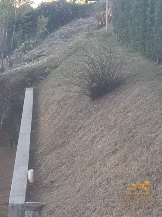 Imagem Lote de 2.500m² com Acesso a Duas Ruas!