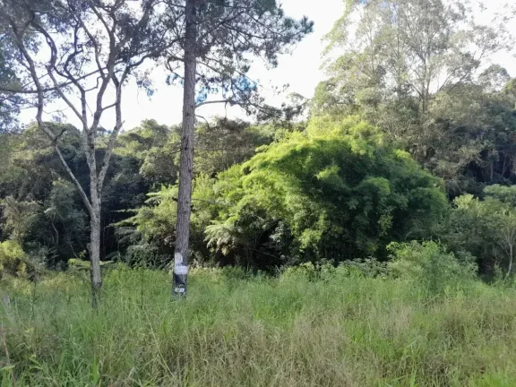 Imagem Lote à venda em Barbacena, Colônia Rodrigo Silva, 2500m2