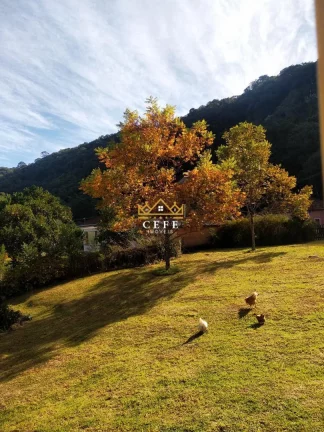 Imagem Sala Comercial à Venda, 790 m² em Centro - Morro Reuter