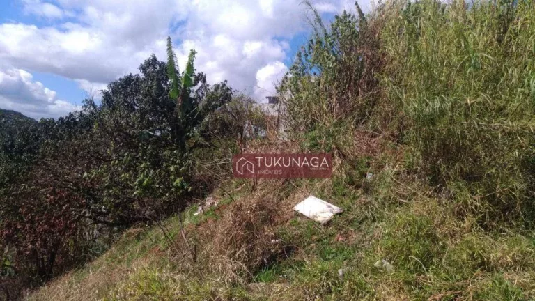 Imagem Terreno à venda, 4080 m² por R$ 1.010.638,48 - Recreio São Jorge - Guarulhos/SP