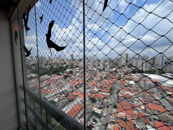 Imagem APARTAMENTO A VENDA NA MOOCA Pr?(C)dio com Gerador de Energia Próximo do Sacolão Mooca, ST Marche, Faculdade São Judas.