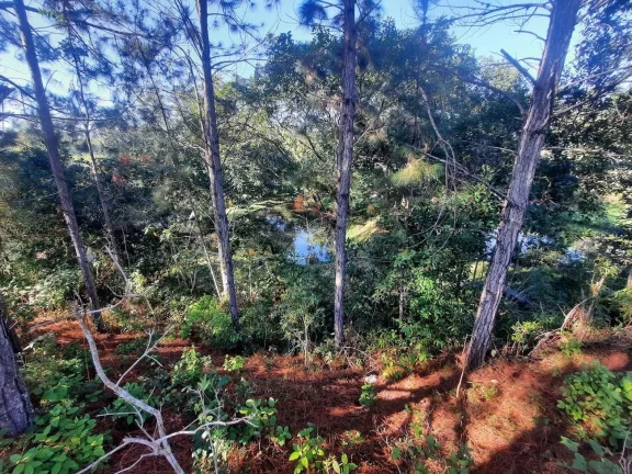 Imagem Terreno à Venda, 101.000 m² (IDEAL PARA CENTRO DE DISTRIBUIÇÃO) São Miguel , Biguaçu/SC