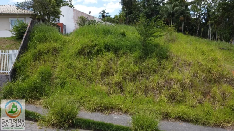 Imagem Lote/Terreno - Salto do Norte - Blumenau