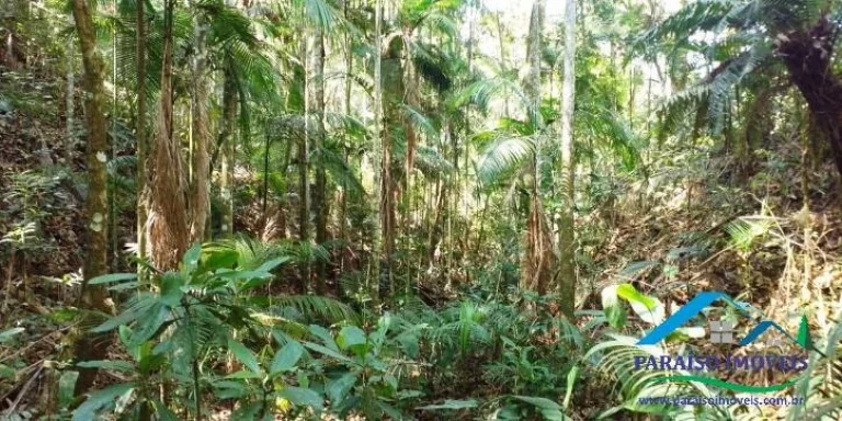 Imagem Espetacular Área Rural em Paraisópolis - Minas | 155 hectares