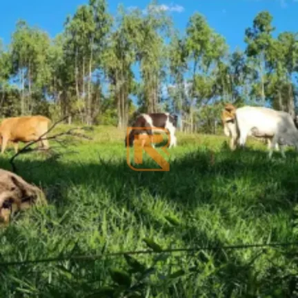 Imagem Venda de Fazenda em Aragoiânia