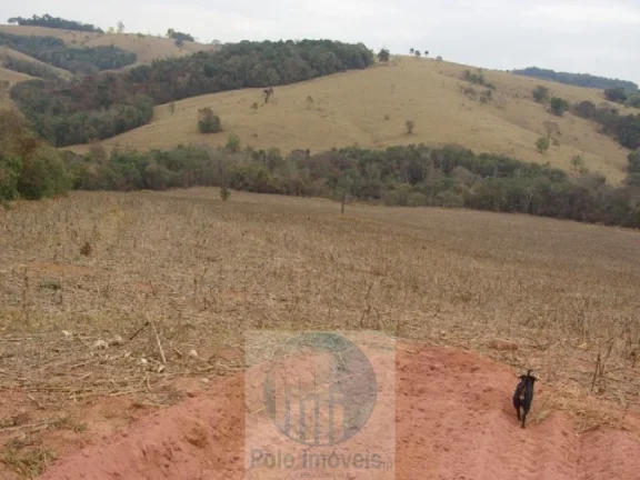 Imagem SÍTIO 3,30 ALQUEIRES PAULISTA, IDEAL PARA MILHO E SOJA - JACUÍ - MG