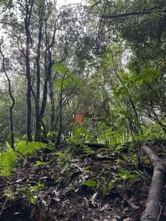 Imagem Terreno à venda, 20000 m² por R$ 400.000,00 - São Mateus - Camanducaia/MG