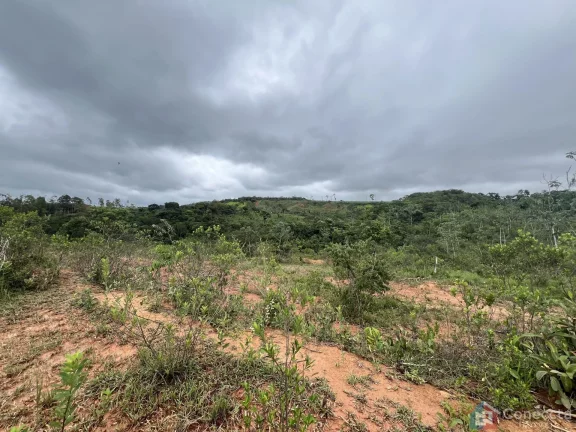 Terreno Rural com Nascente e Energia a 4 km da Ponte do Arco